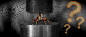 spider, hydraulic press, hydraulic spider legs