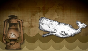 whale oil myth, whale oil, petroleum, kerosene, did petroleum save the whales?, how did petroleum save the whales?