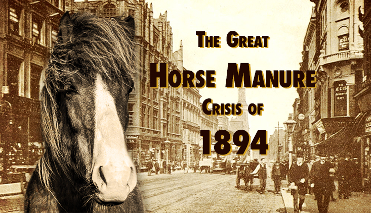 horse, horses, great horse manure crisis of 1894, london, 19th century, industry