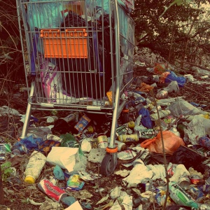 garbage, trash, rubbish, plastic, recycle, pollution