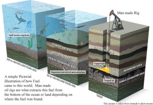 Oil comes from Dinosaurs