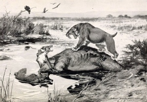 la brea tar pits